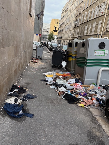 Invasion de rats dans la ville de Marseille