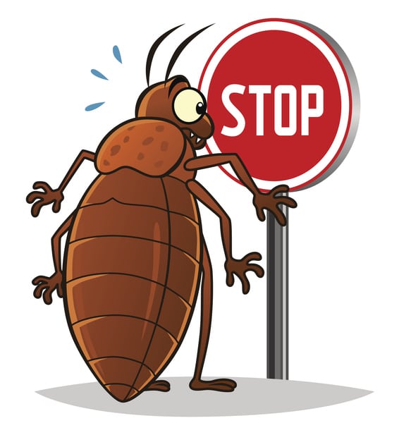 stop aux punaises de lit à Marseille Stop aux punaises de lit à Marseille avec un traitement efficace