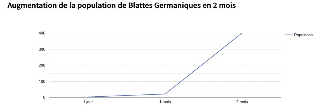 Augmentation de la poulation de blattes germaniques en 2 mois Tableau de croissance des blattes germaniques en 2 mois