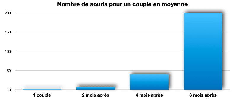 Taux de fécondité de la souris grise